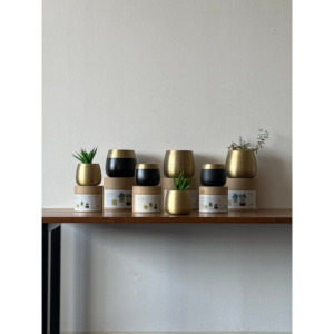 orino-planter